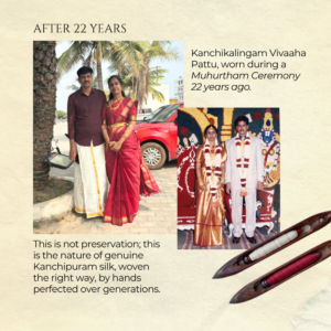 22 Years Old Saree - Kanchikalingam Silks